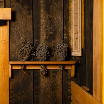 Травы для бани Woodson, мята омбало